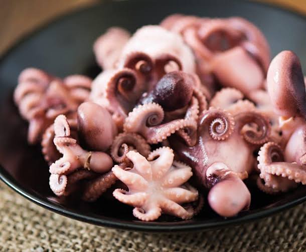 Baby Octopus