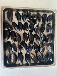 Mussels