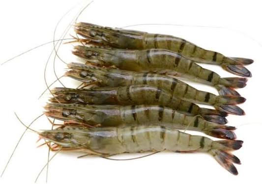Black Tiger Prawns