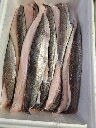 Silver Hake Fillet